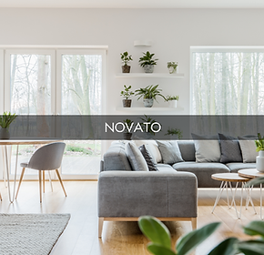 NOVATO.png