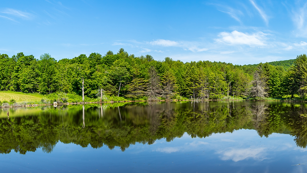 NH LAKE 4.png