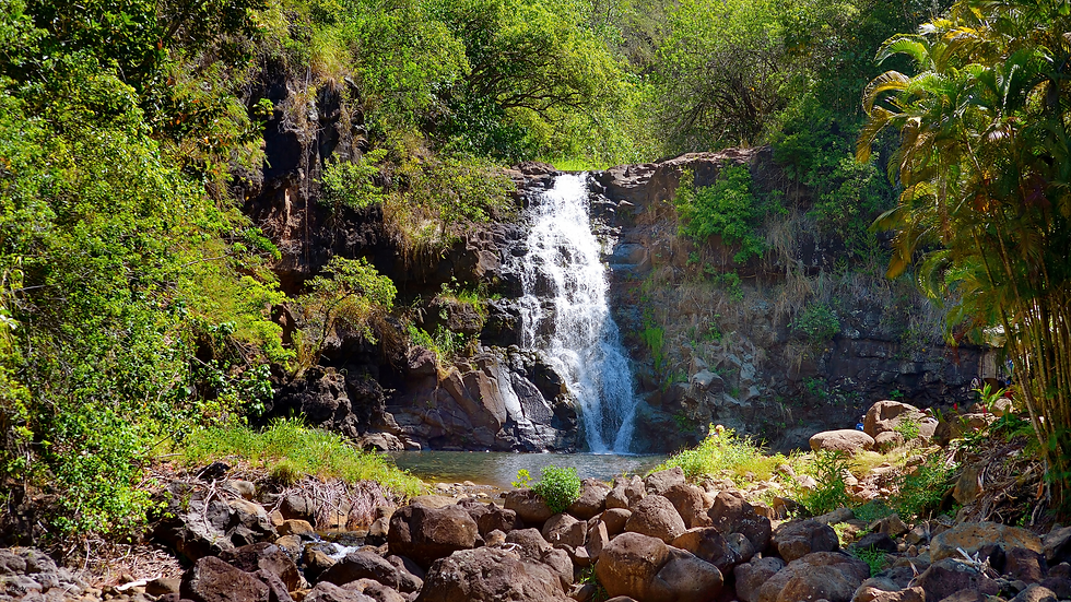 Lush Oahu, Hawaii landscape for Air Force families PCSing from Travis AFB to Hawaii