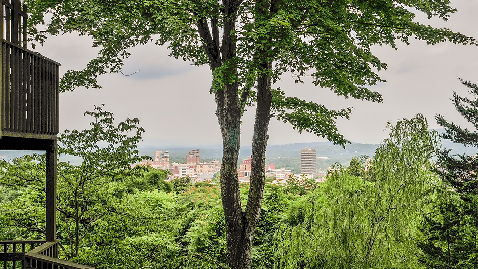 asheville nc views.png