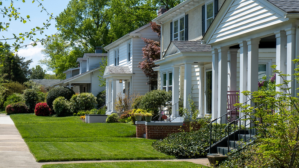neighborhood 3.png