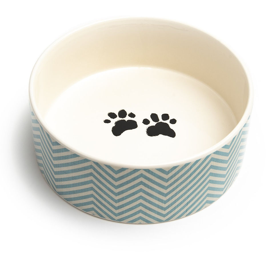 Talto pet bowl - medium
