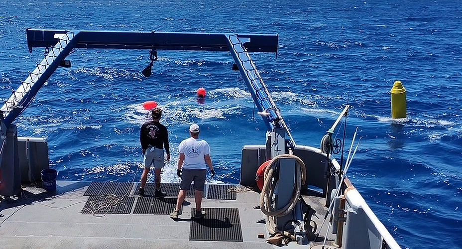 Buoy With Radar Reflector Deployed.jpg