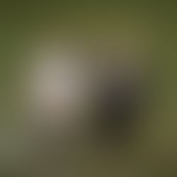 25. Bodies Washed With Pure Water