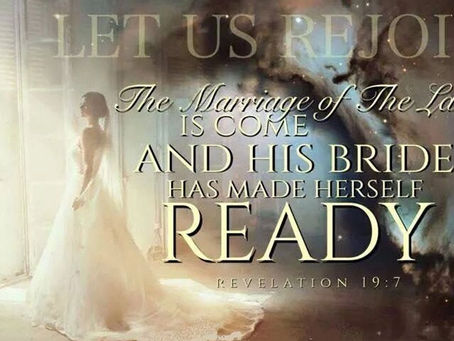 2. A Living Organism