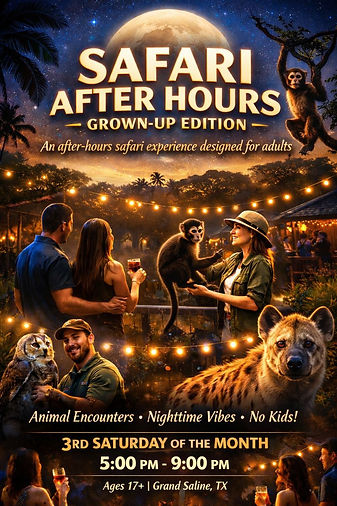 ChatGPT Image Jan 5, 2026, 12_40_42 PM.png