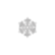 Copy of Copy of Untitled (3).png