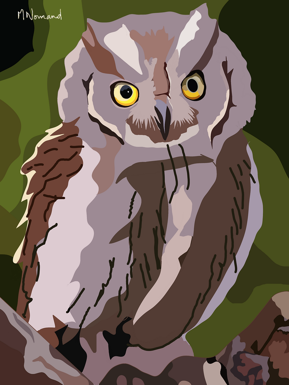 2025-06-20 Hibou Petit Duc