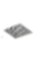 Sasquash_DamDep_White.png