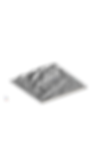 Sasquash_DamDep_White.png