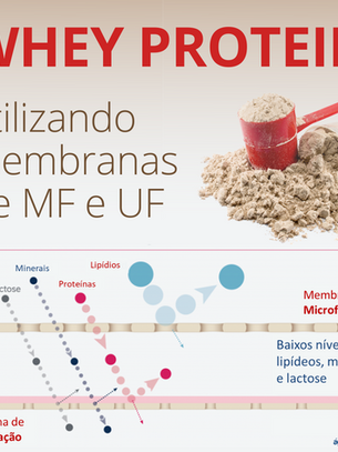 Whey Protein: produção utilizando membranas de MF e UF
