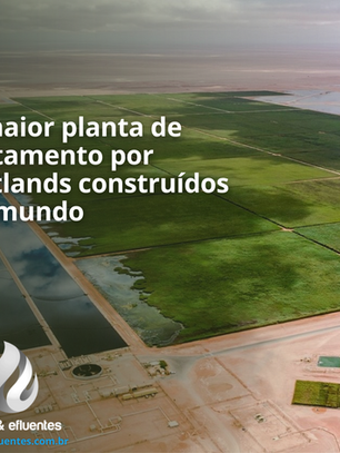 A maior planta de tratamento por wetlands construídos do mundo