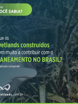 Você sabia que os wetlands construídos têm muito a contribuir com o saneamento no Brasil?