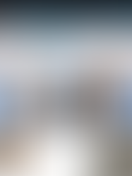 Lodo Granular Aeróbio - LGA