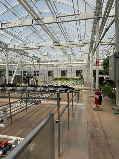 Greenhouse - Living with the Land