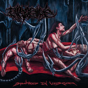 Divulsive's 'Spawned In Viscera' to Release
