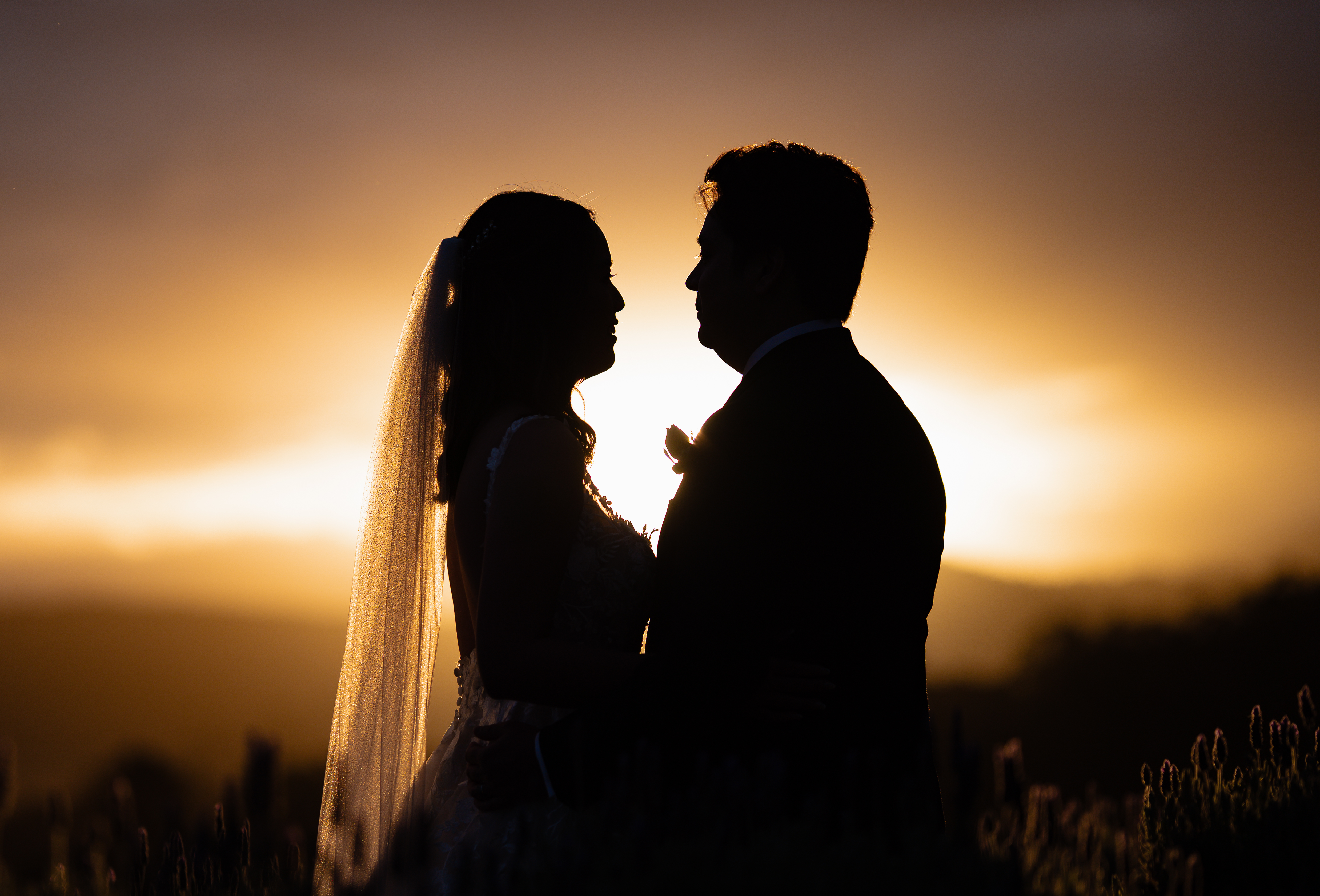 Alegna Weddings — photo 5 of 18