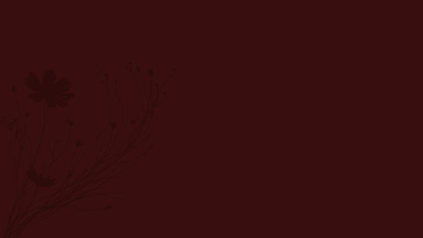 Website Banner (3).png