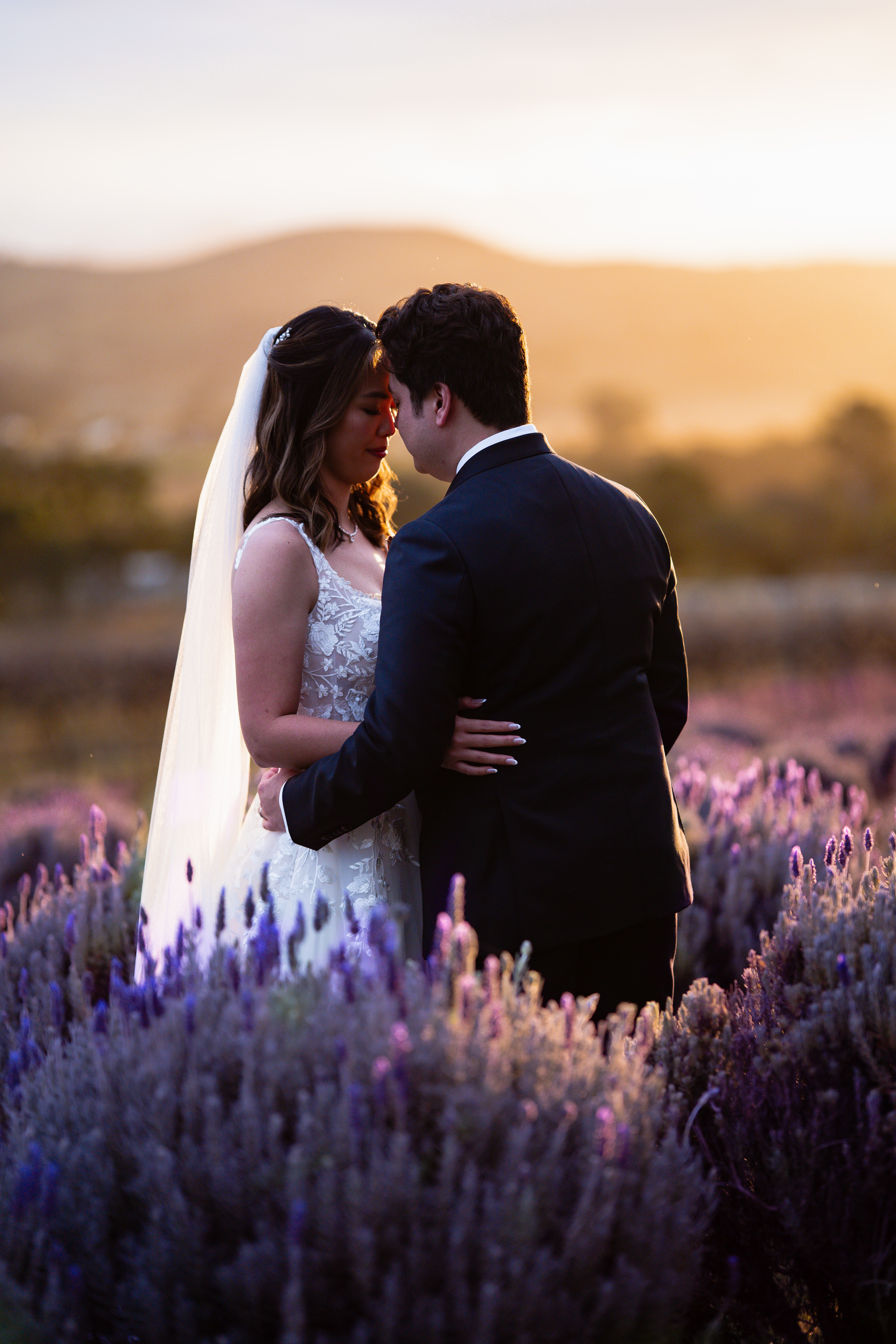 Alegna Weddings — photo 3 of 18