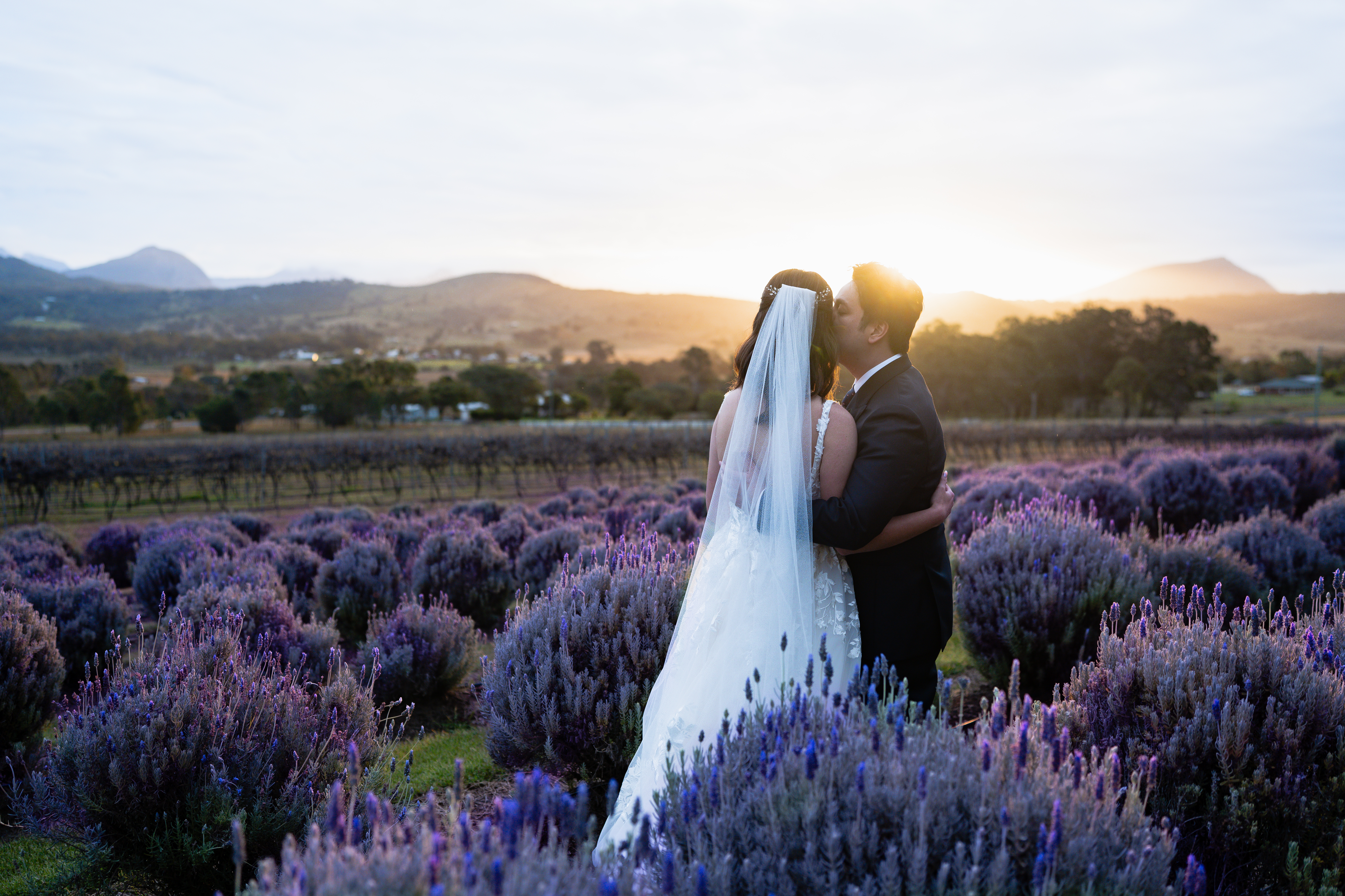 Alegna Weddings