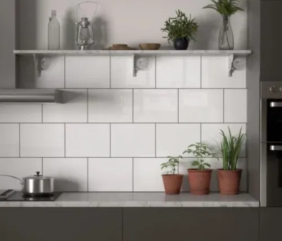 White kitchen tiles, plants on shelf