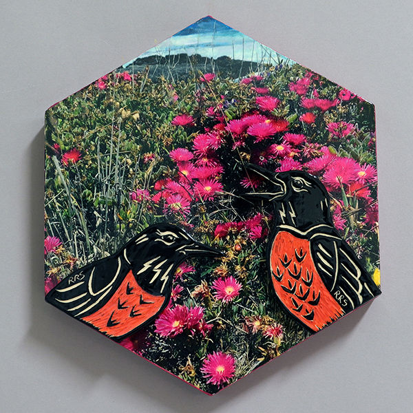 Field of Flowers - Coastal Ice Plant