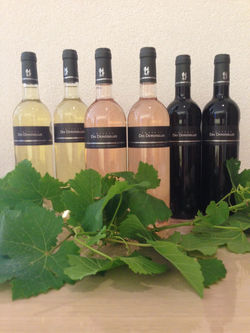 Les vins