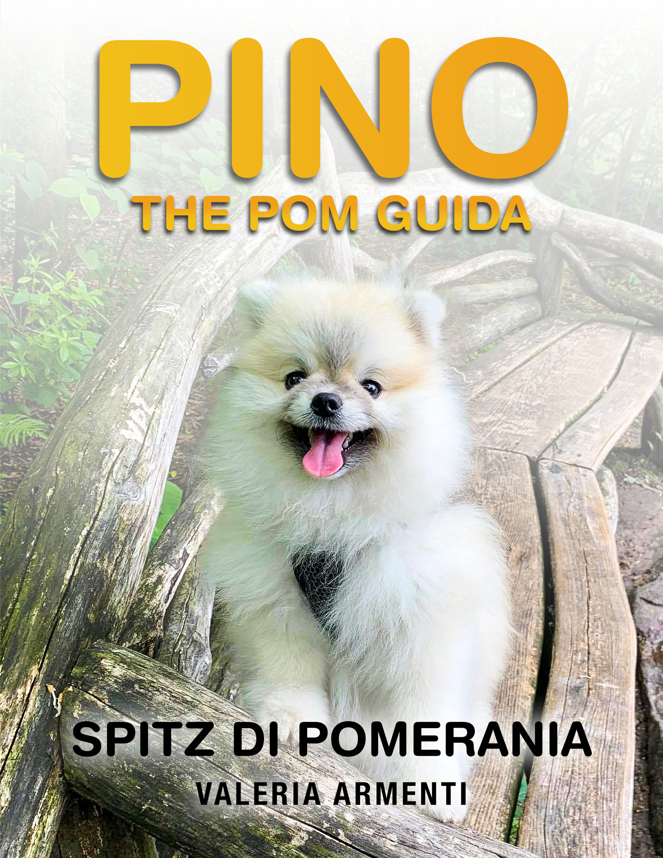 🇮🇹 Pino the Pom Guida - Spitz di Pomerania