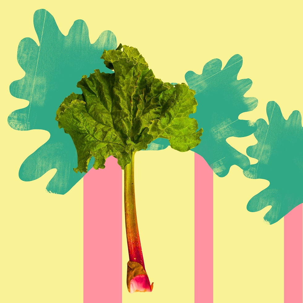 Dunoon Rhubarb Festival 2026