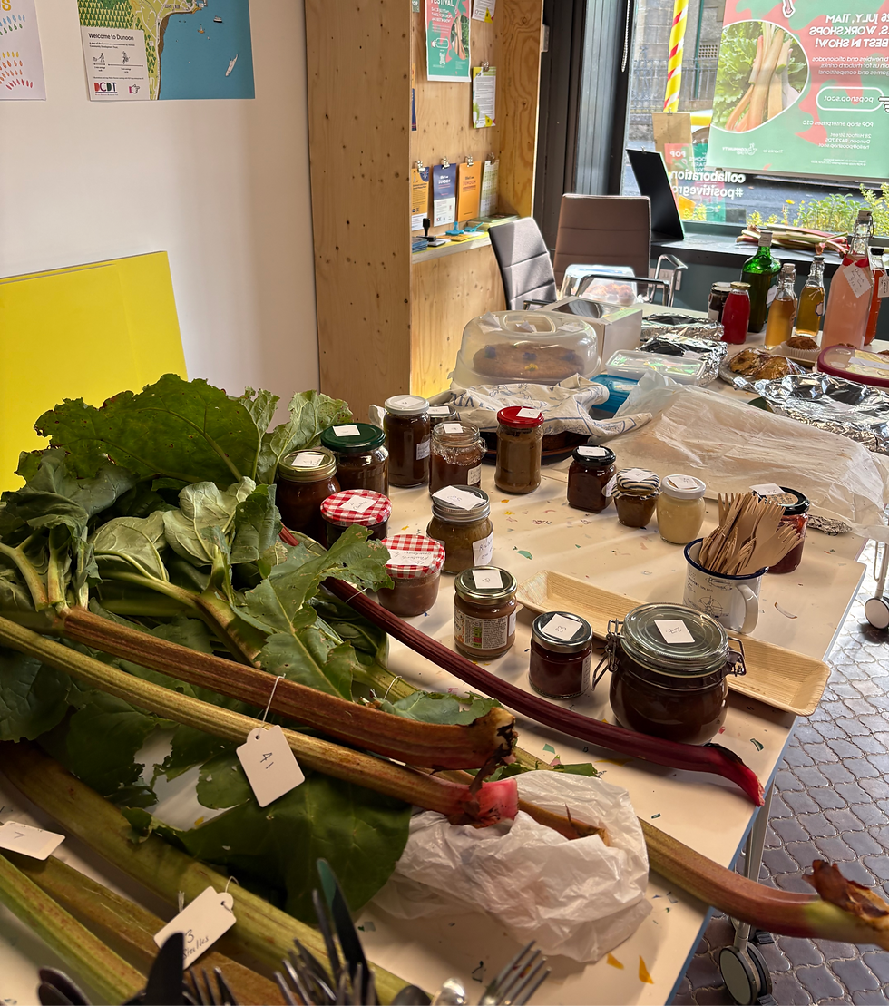 All of the rhubarb competition entries!