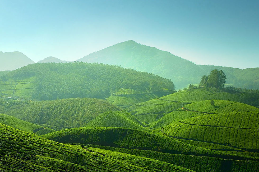 MUNNAR