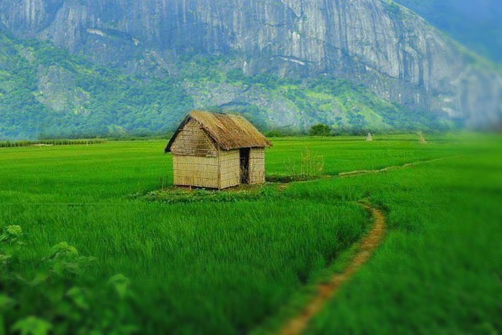 PALAKKAD
