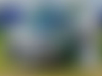 Ford urges rethink on electric vans as charging risks hit fleet productivity