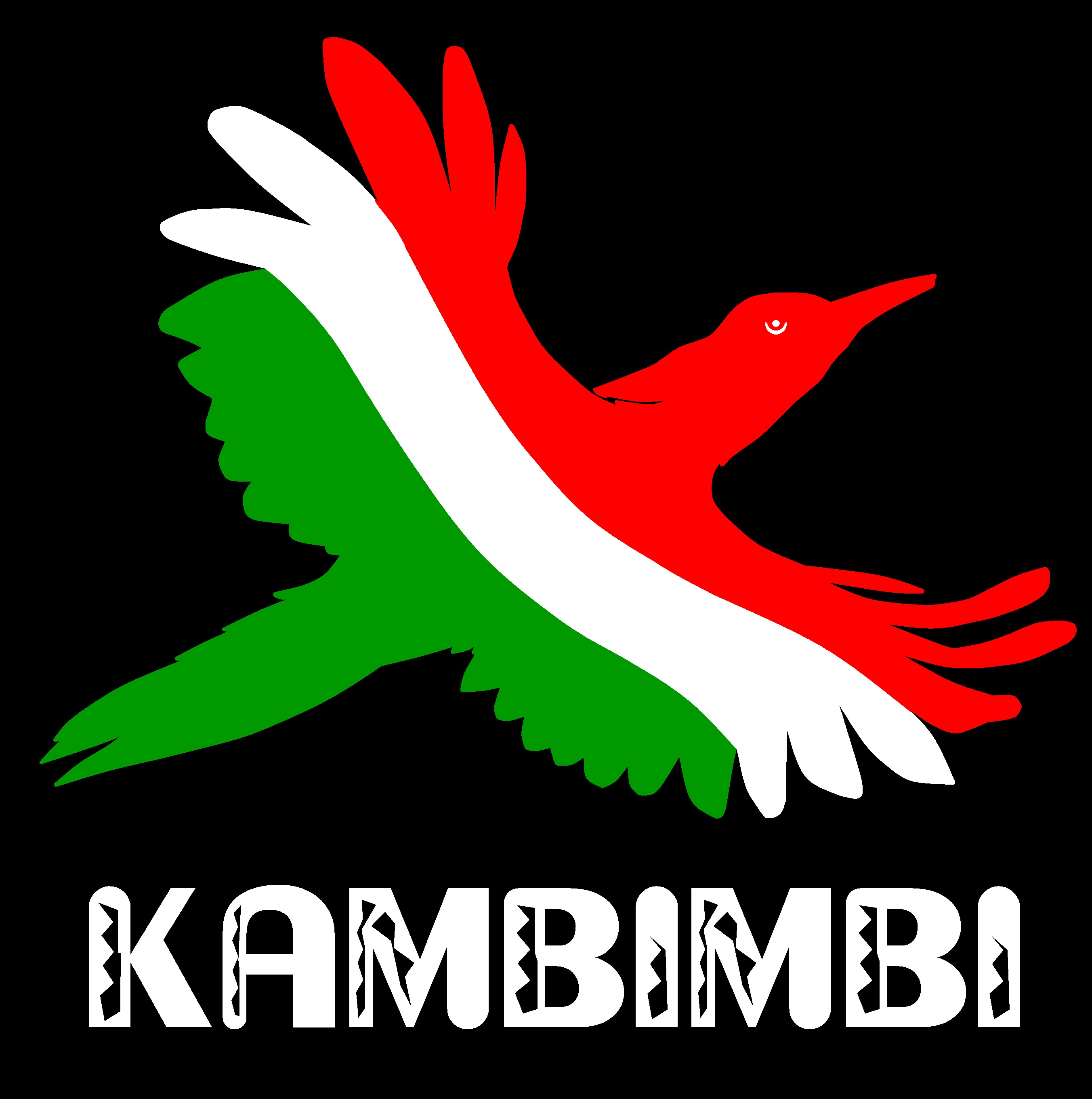 Kambimbi: African Rain Bird