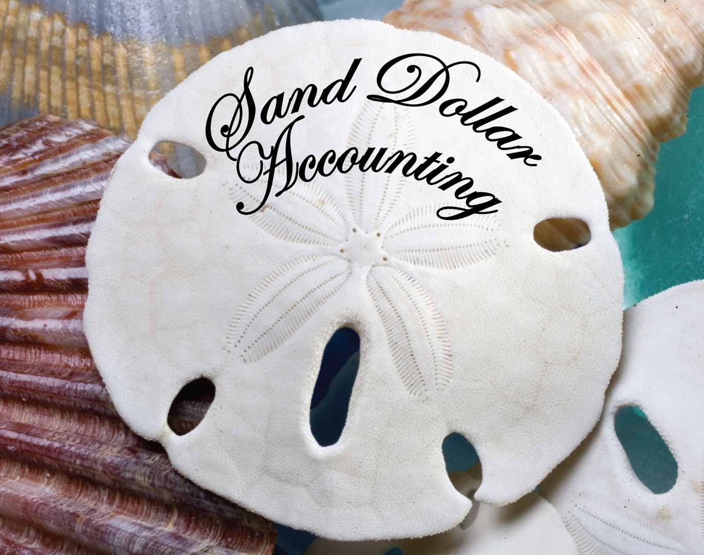 Sand Dollar Accounting