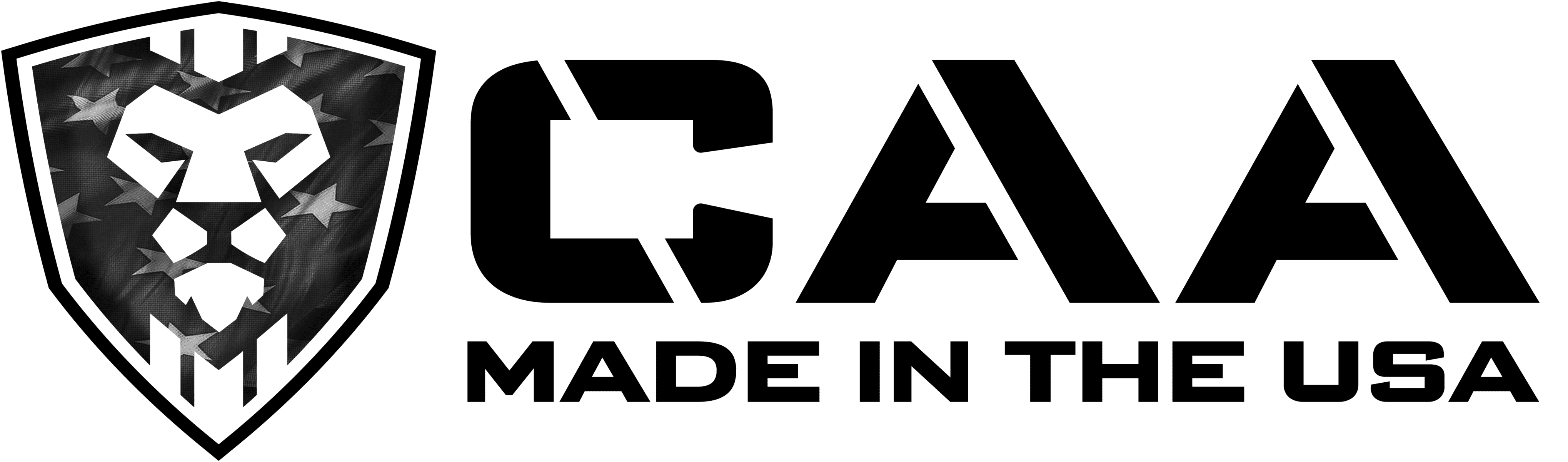 2025_CAA_LOGO-v2.png