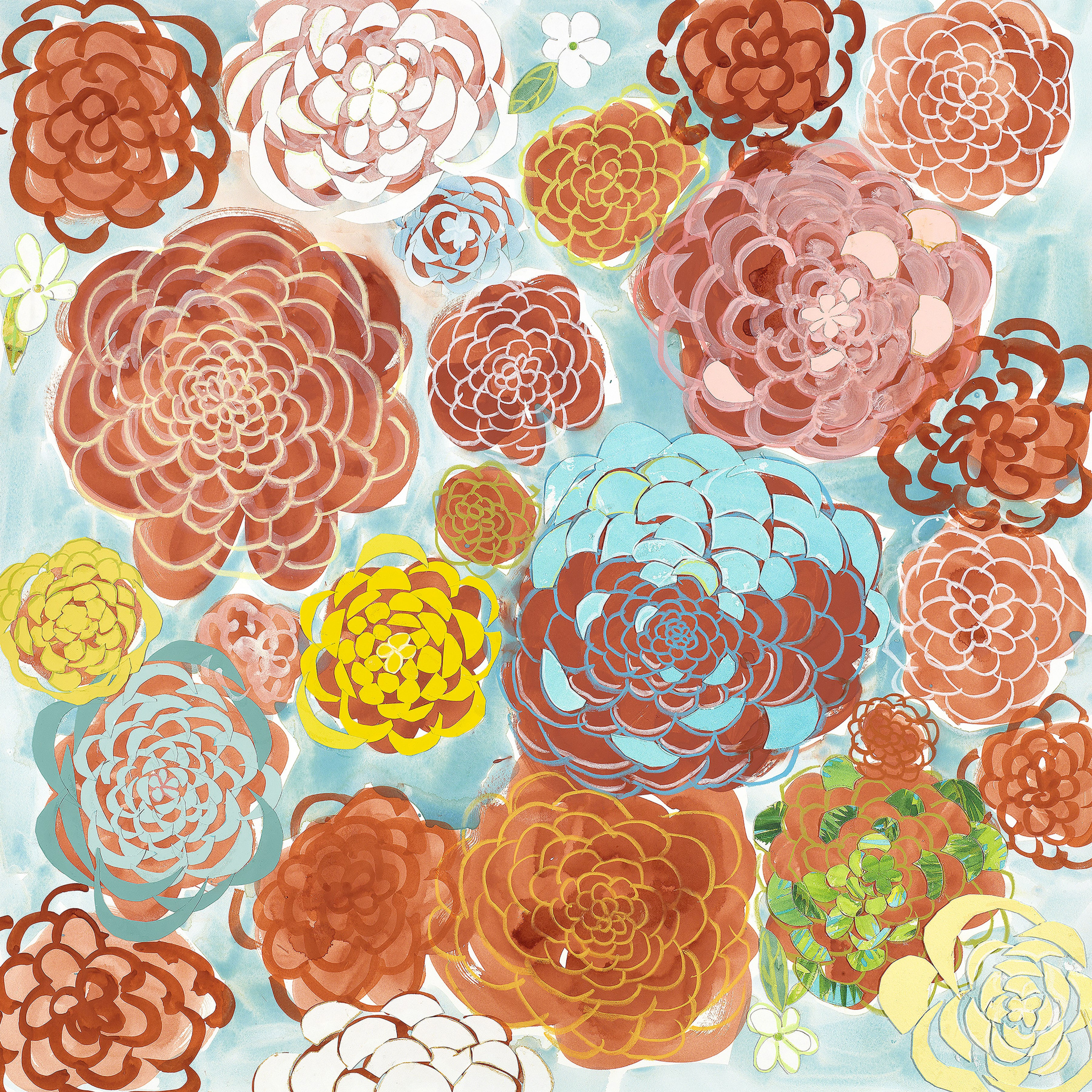 Zinnias