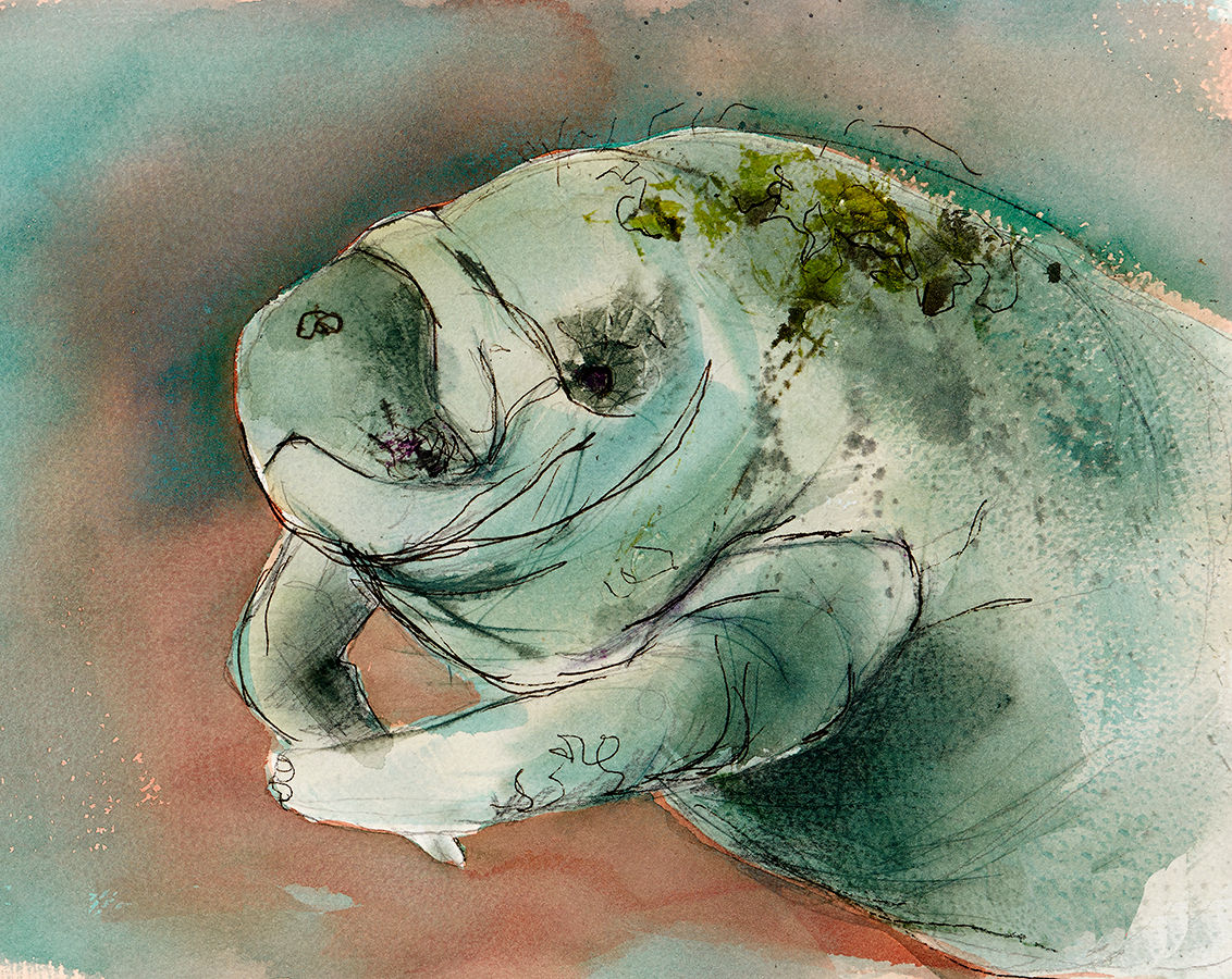 Manatee Ceramic Tile