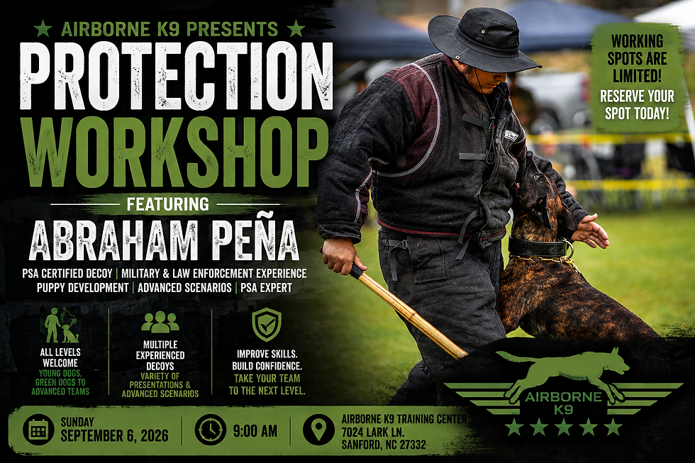 Protection Workshop Featuring Abraham Peña