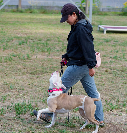 DSC_8784_DxO Large_edited.jpg