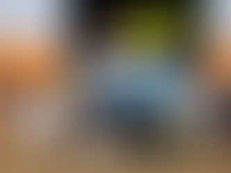 計170名が参加 オンライン配信と写真撮影を担当 動物介在療法シンポジウム