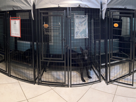 Crate and Rotate