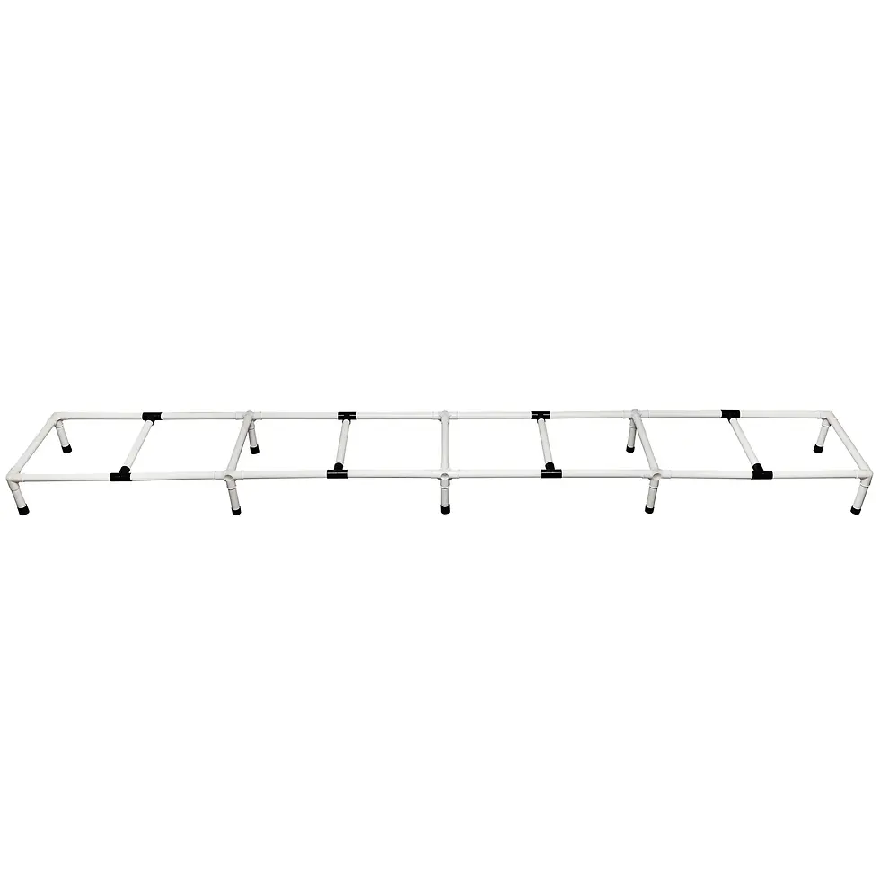 Dog Agility Training Ladder