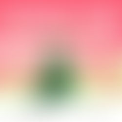 PLANTING STORIES LAUNCH DATE! 11.11.2025