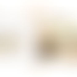 Reflecting on a 2023 - Year of Achievements: Kulturnest e.V.'s Annual Board Meeting Recap