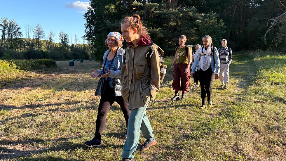 First Accessible Forest Dissemination Event