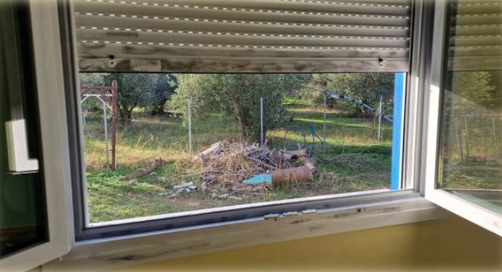 From the Field: Bulgaria & Greece