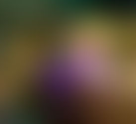 Embracing the Underwater Creation