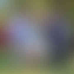 George Futrelle 09042024-2