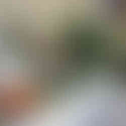 Conference Table Decor and Meal